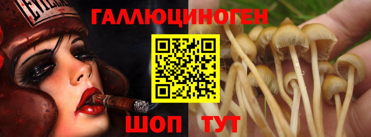 Красноармейск  Псилоцибиновые грибы ЛСД  Вход с VPN  Псилоцибиновые грибы мицелий 